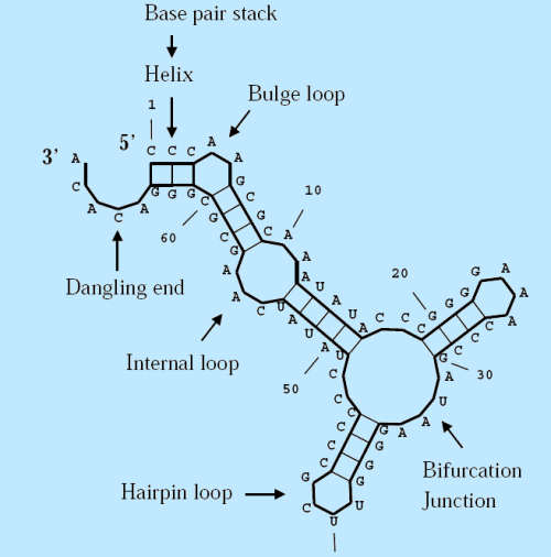 RNA2D